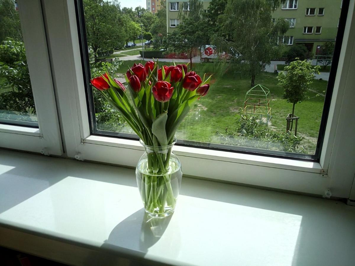 Apartament Usmiech Plock Exterior photo